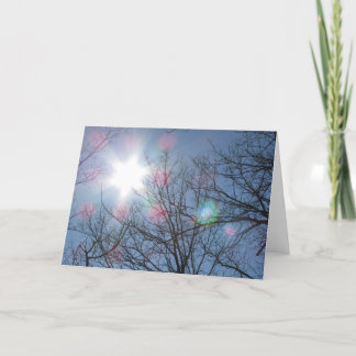 Blank Greeting Cards