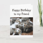 Blank Happy Birthday Friend Fun Pile of Kittens Card<br><div class="desc">Happy Birthday with a fun pile of kittens for the cat loving Friend.  Blank inside to add your own message</div>