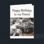 Blank Happy Birthday Friend Fun Pile of Kittens Card<br><div class="desc">Happy Birthday with a fun pile of kittens for the cat loving Friend.  Blank inside to add your own message</div>