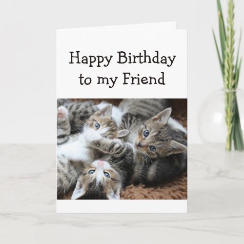 Blank Happy Birthday Friend Fun Pile of Kittens Card