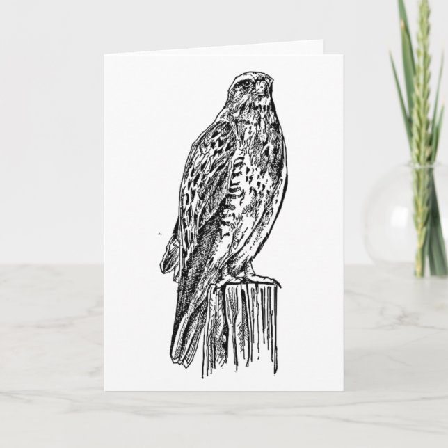 Blank Hawk Notecard (Front)