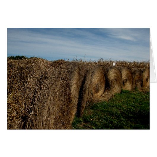Blank_Hay Bales Cards (Front Horizontal)
