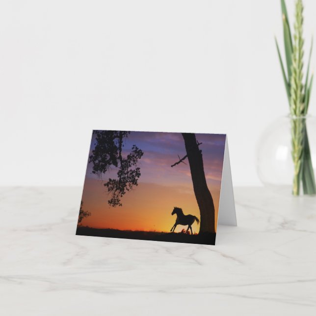 Blank Horse Note Cards (Front)