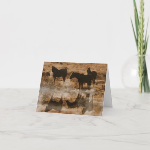 Blank Horse Note Cards