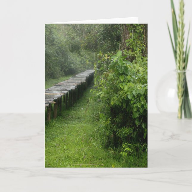 Blank Inside Card (Front)