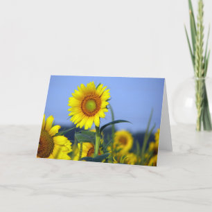 Blank inside for your customization card