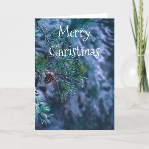 Blank Inside Frozen Pine Christmas Card