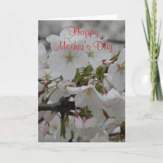 Blank Inside Happy Mother's Day Card