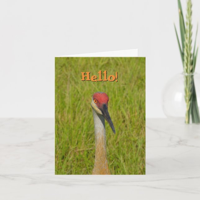 Blank Inside, Sand Hill Crane Hello! Greeting Card (Front)