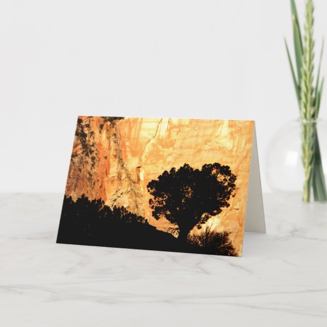 Blank Inside, Solitary Tree Card (Front)