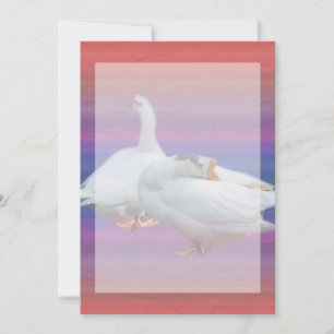 blank invitation,all purposes invitation