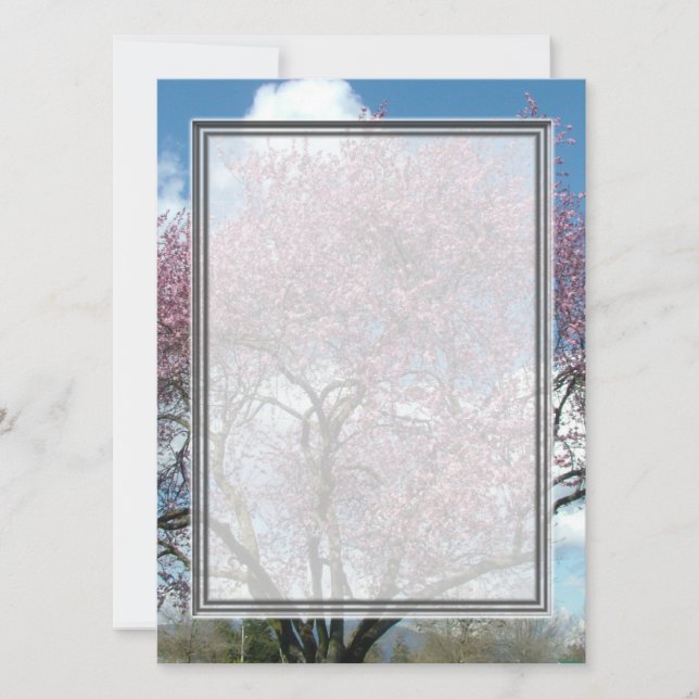 blank invitation, cherry blossoming tree invitation (Front)
