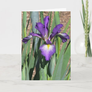 Blank Iris Card -"LINE DANCING"