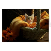 blank kitten card (Front Horizontal)