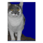 ~ Blank Kitty Card ~ (Front)
