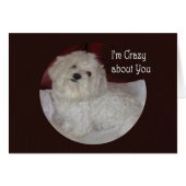 Blank Maltese "I'm Crazy About You" Love Card (Front Horizontal)