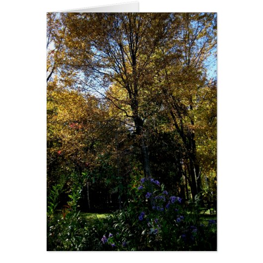 Blank_Mauve Tree Cards (Front)