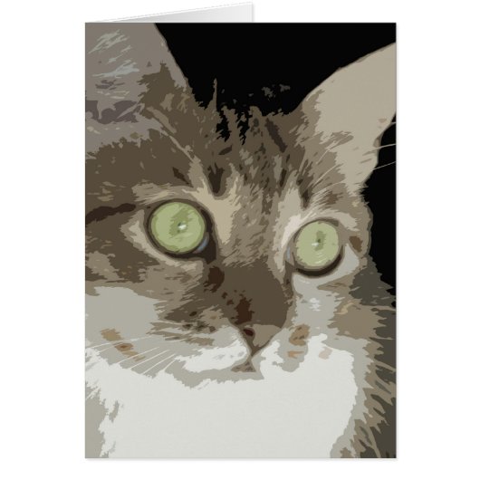 Blank - Missy Kay (Front)