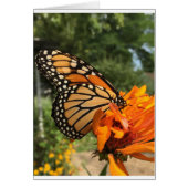 blank monarch card (Front)