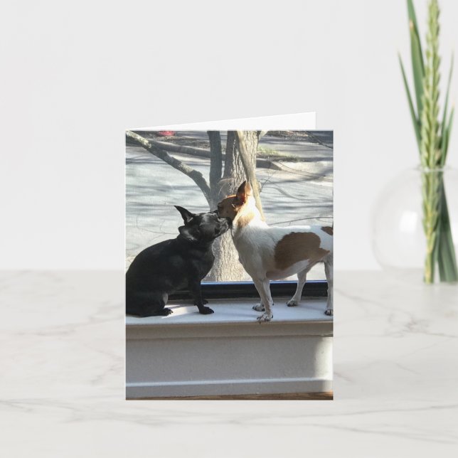 blank note card (Front)