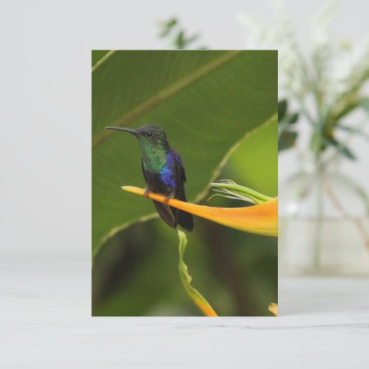 Blank note card (Standing Front)