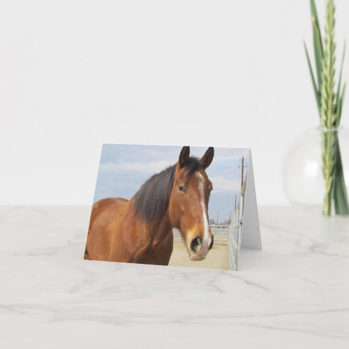 Blank Note CardBrown Horse Side Card