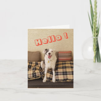 Blank Note Card Dog saying Hello