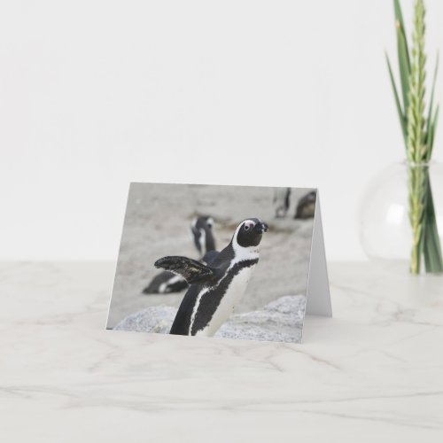 Blank Note Card _ Flapping Penguin