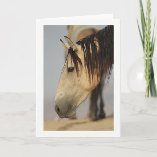 Blank Note Card with a horse pictured