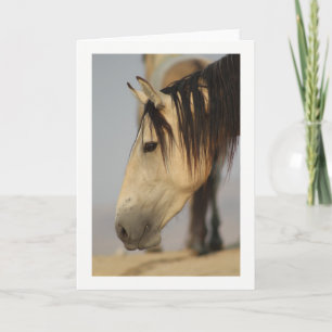 Blank Note Card with a wild horse pictured.