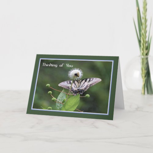 Blank Note Card with Butterfly