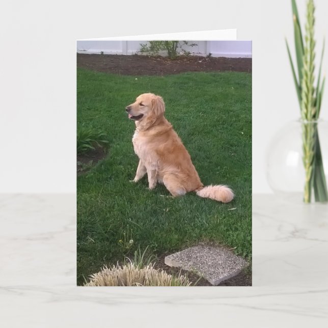 Blank Note Card with Golden Retriever Jake (Front)