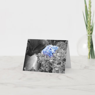 Blank Notecard Blue Flowers Black and White Design