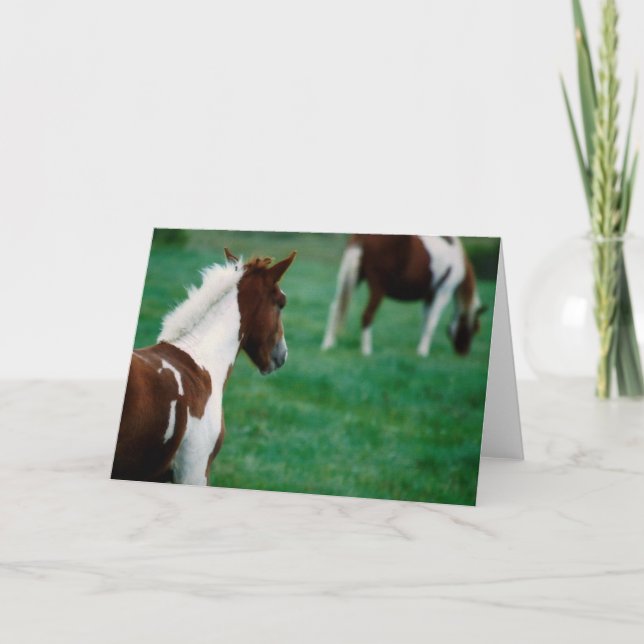 Blank Notecard_Horses Grazing in Summer Card (Front)