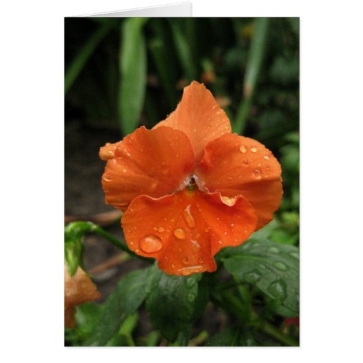 Blank_Orange Raindrops Cards (Front)