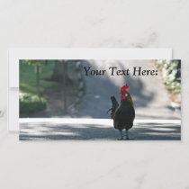 Blank Photo Card, Rooster