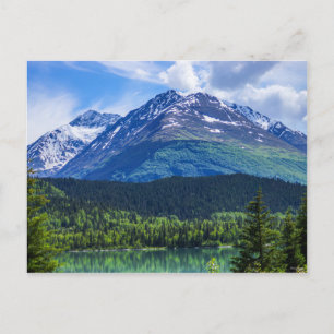 Blank Post Card