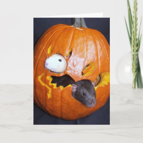 Blank Rattie Halloween Card