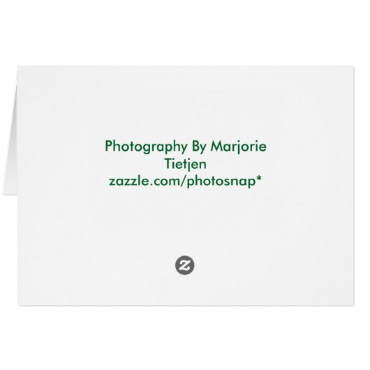 Blank Recipe Note Card (Back Horizontal)