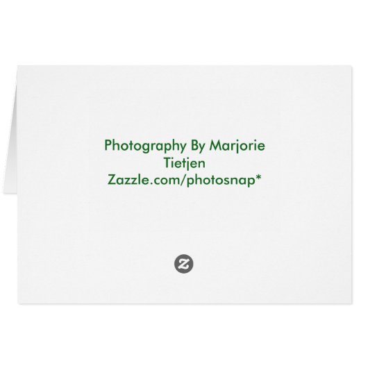 Blank Recipe Note Card (Back Horizontal)