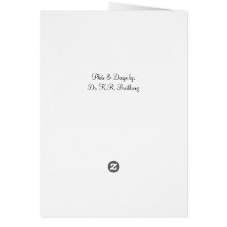 Blank Red Rose Cards