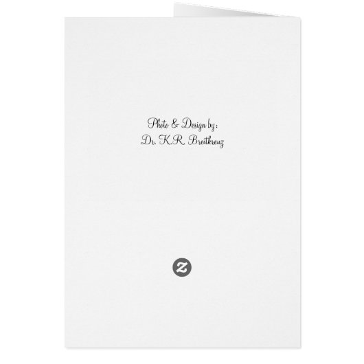 Blank Red Rose Cards (Back)