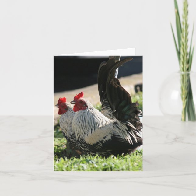 Blank, Rooster Letterpress Thank You Card (Front)