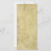 Blank Rustic Stained Vintage Aged Paper (Back)