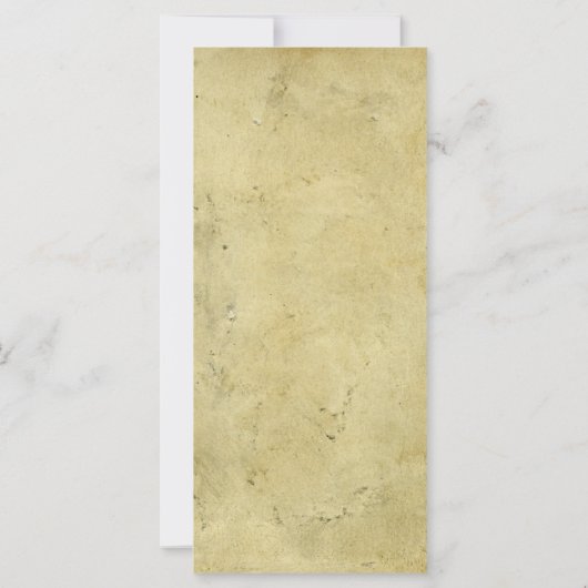 Blank Rustic Stained Vintage Aged Paper (Back)