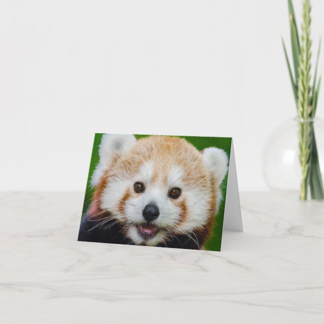 BLANK SMALL NOTECard:  RED PANDA Card (Front)