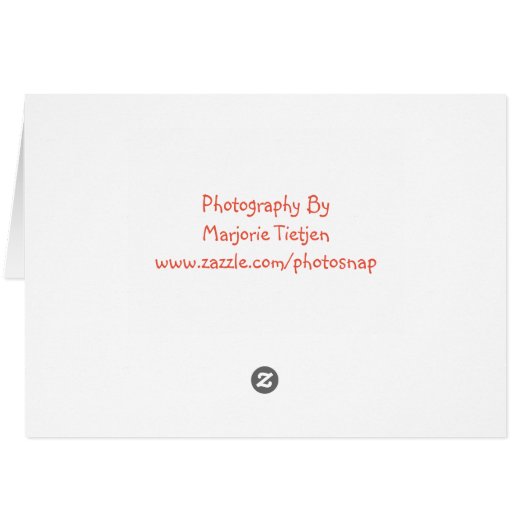 Blank Squash Recipe Card (Back Horizontal)