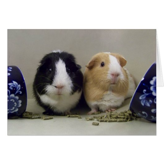 Blank "Tea-Time" Card (Front Horizontal)