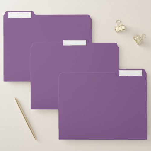 Blank TEMPLATE add text image change color File Folder
