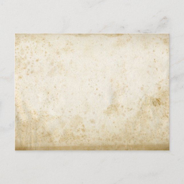 Blank Vintage Stock Antique Paper Postcard (Front)